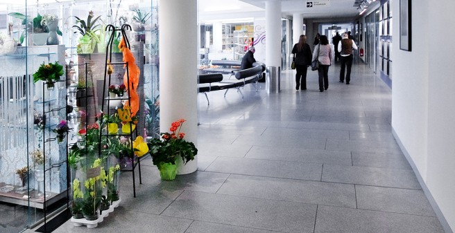 patient boulevard