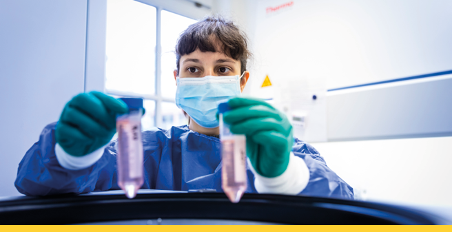 Lab work